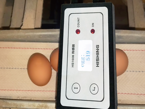 激光雞蛋計數系統